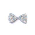 Harlowe Bow Tie