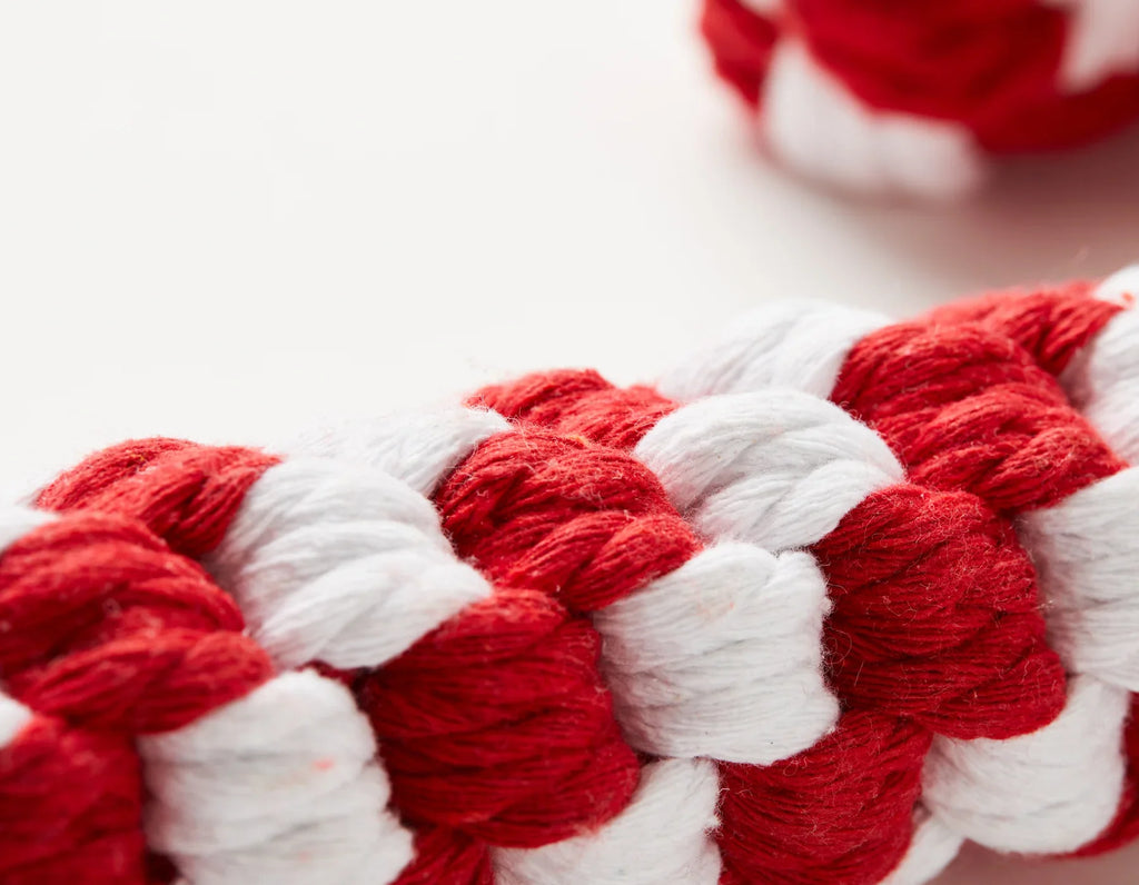 Candy Cane Rope Toy 12"