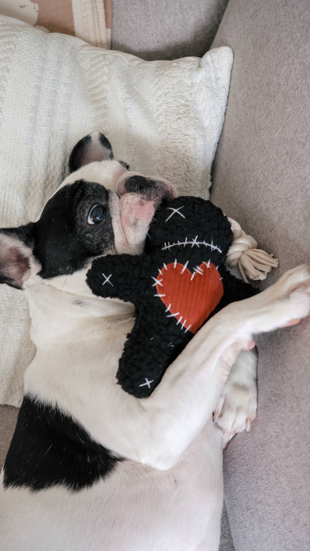 Voodoo Halloween Toy