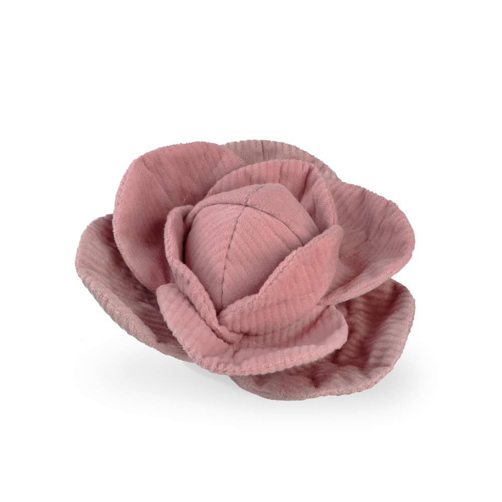 Red Cabbage POP Dog Toy