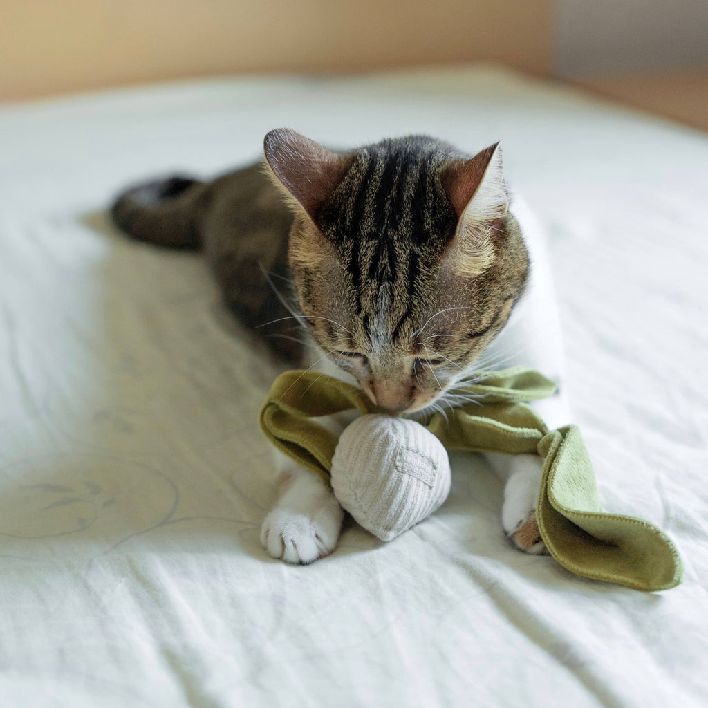 Kitty Radish Toy
