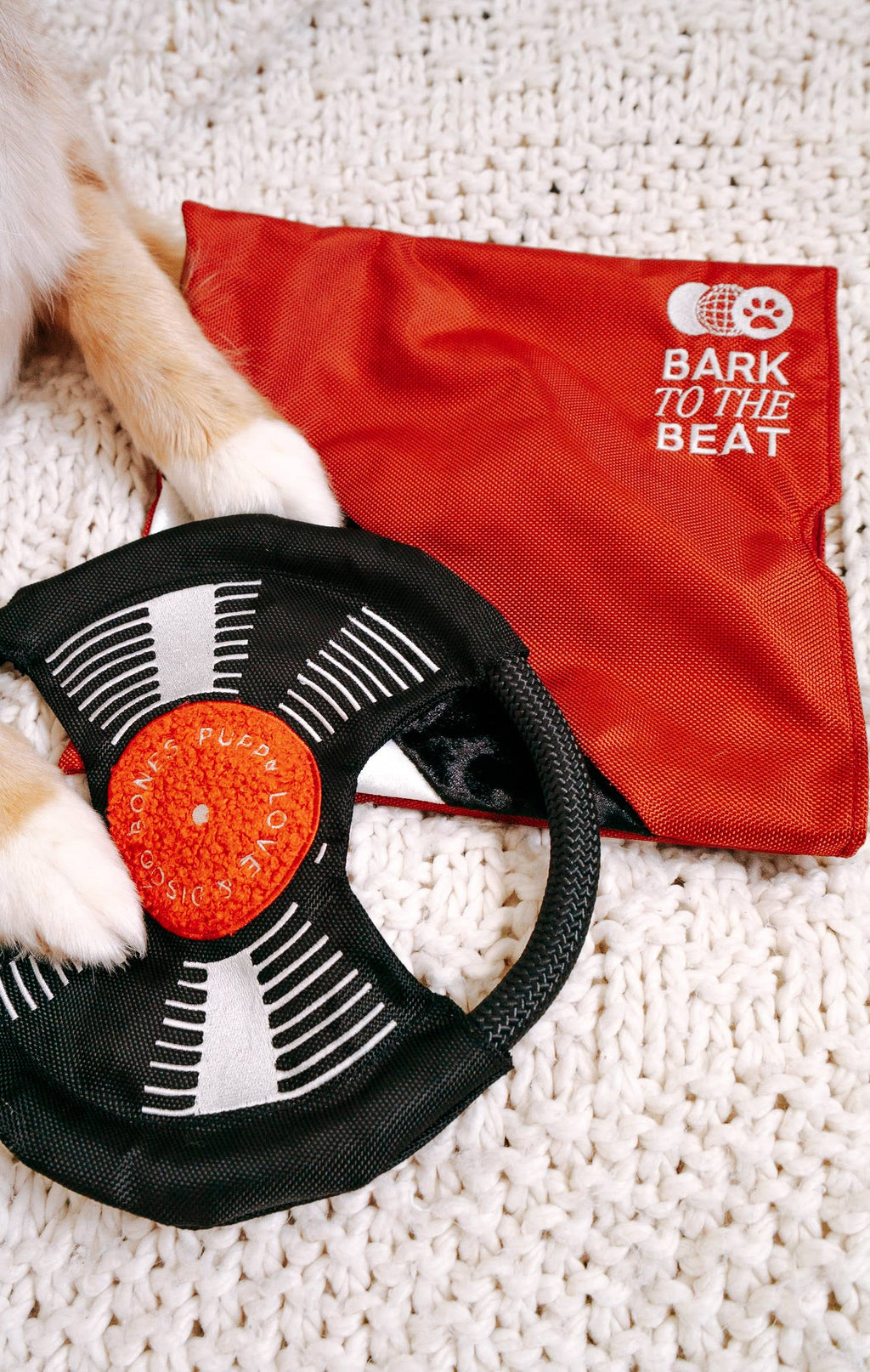 Bark to Beat Enrichment Dog Toy