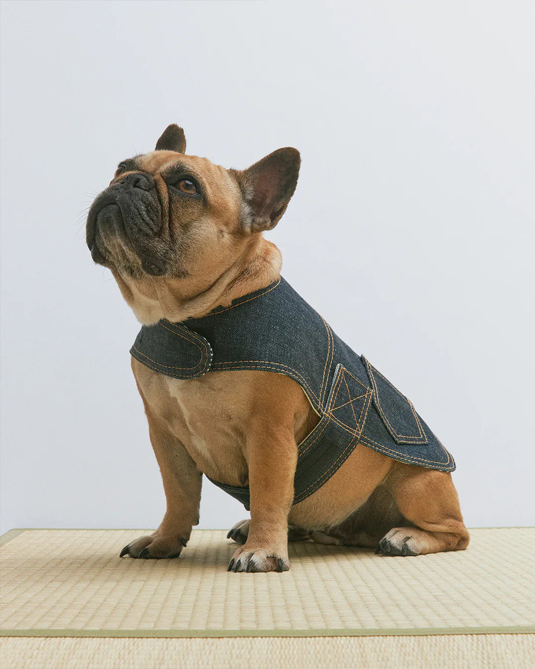 Blue Paws Denim Co. Type-1 Dog Jacket