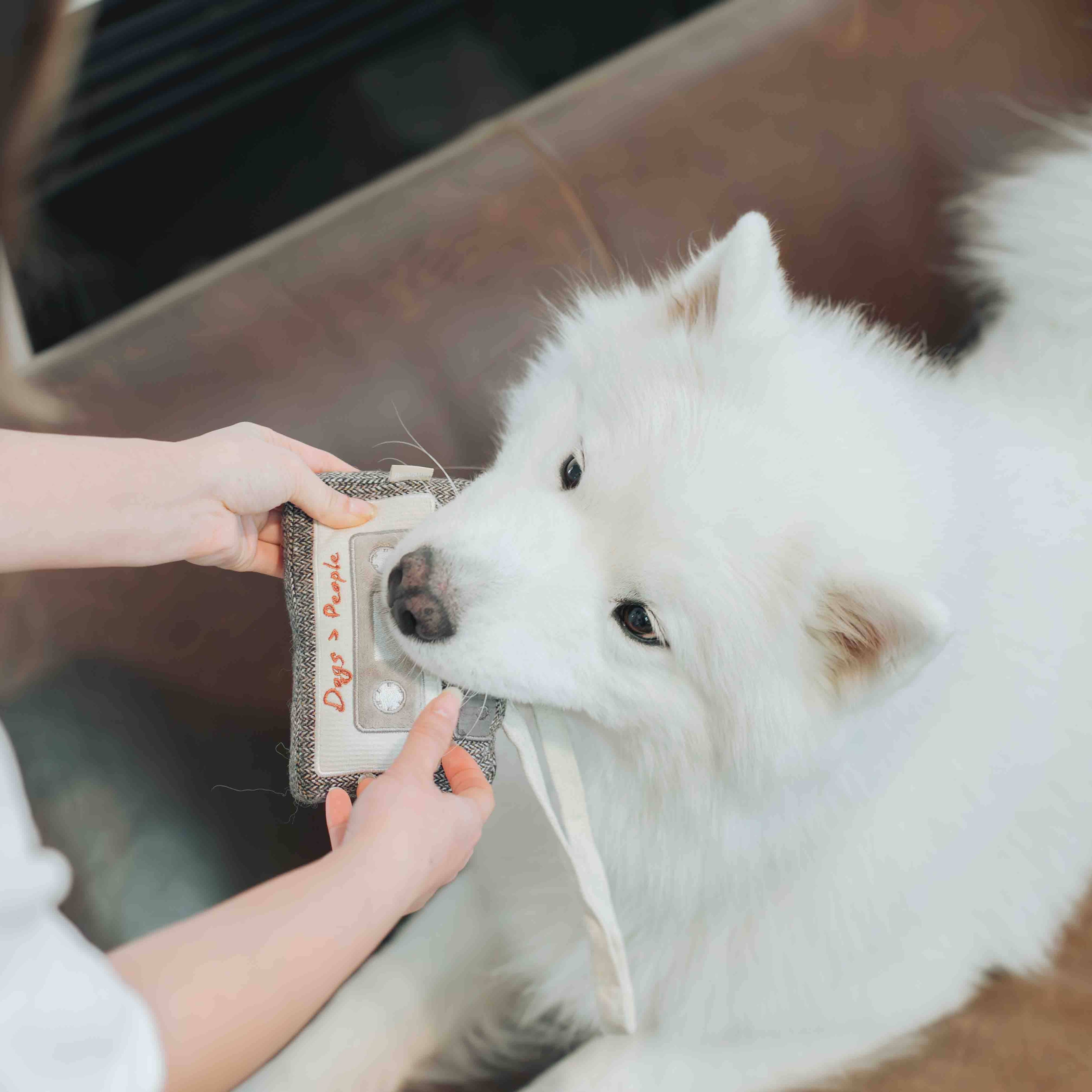 Cassette Enrichment Dog Toy