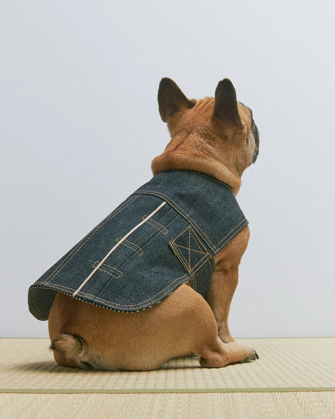 Blue Paws Denim Co. Type-1 Dog Jacket