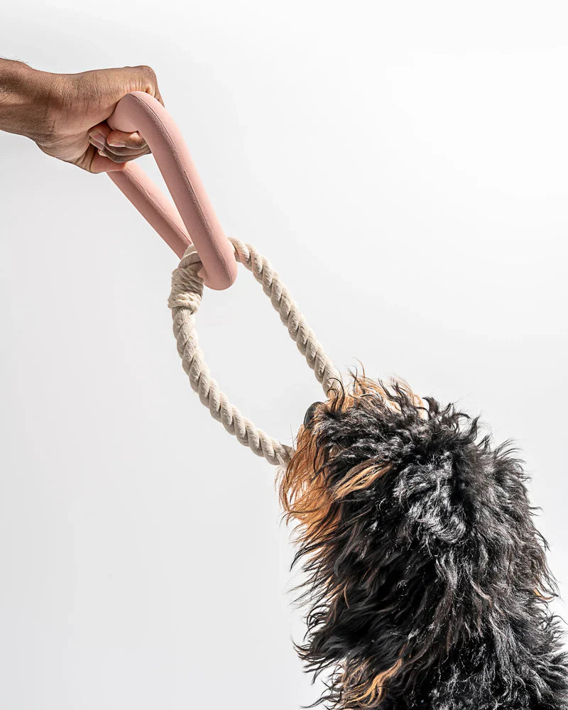 Triangle Tug Toy - Small