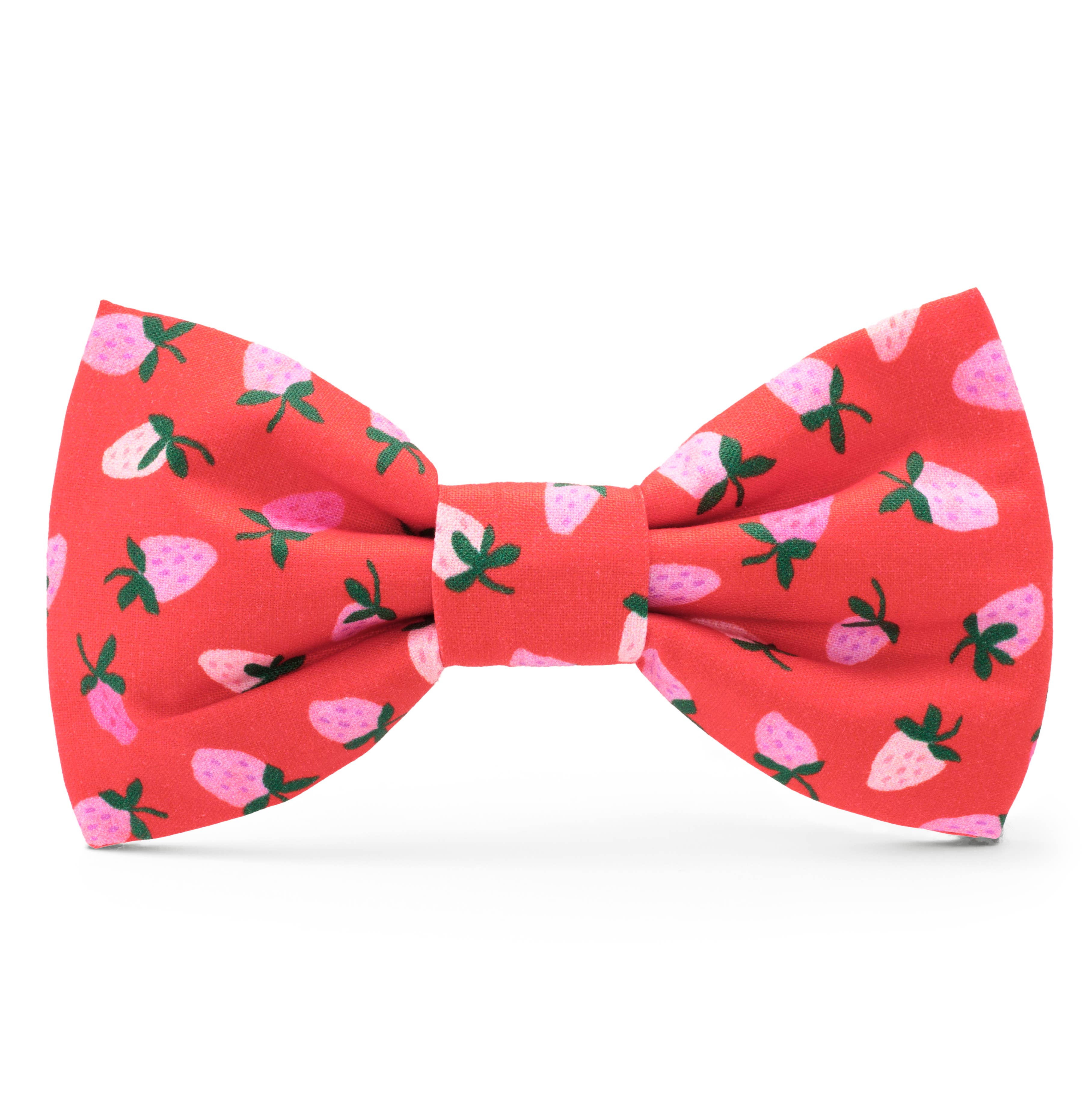 Dog Bow Tie