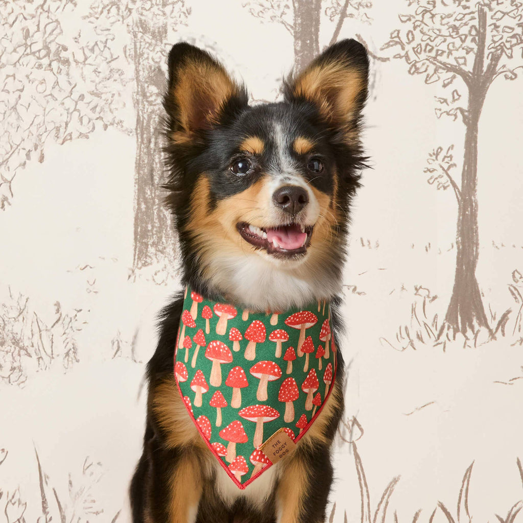 Mushroom Meadow Dog Bandana