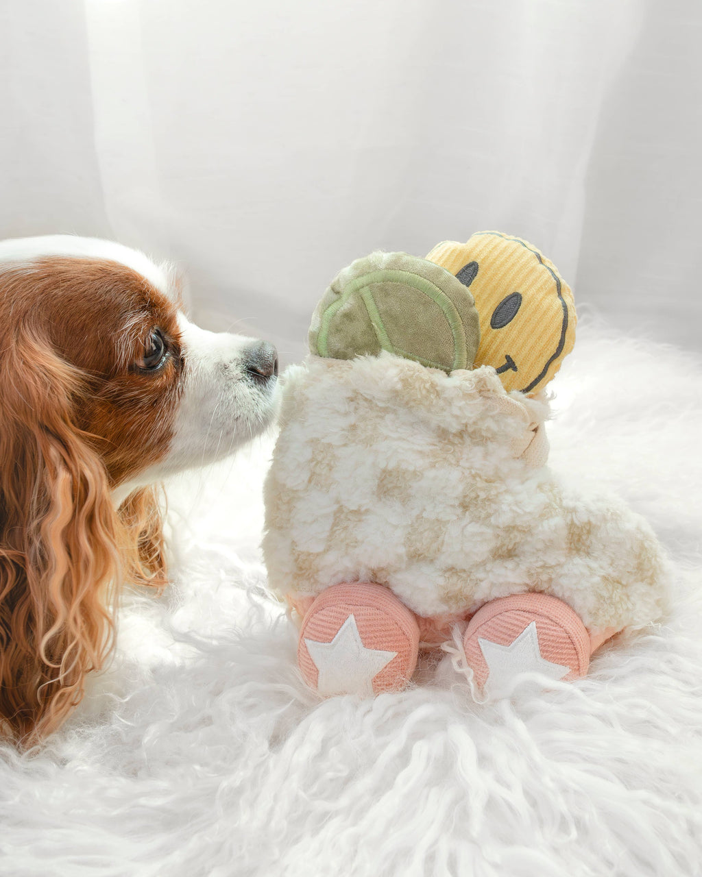 Roller Skate Enrichment Dog Toy