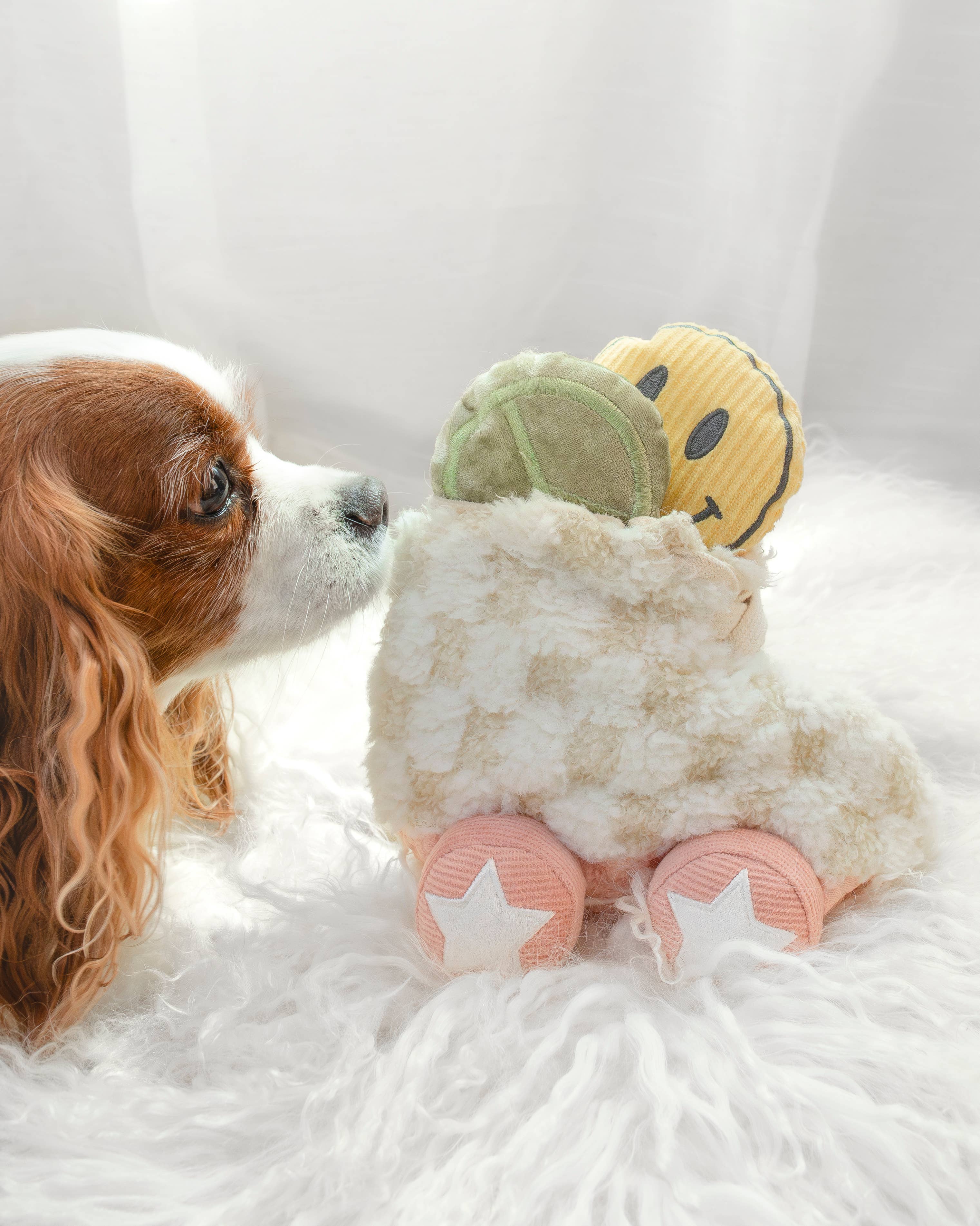 Roller Skate Enrichment Dog Toy