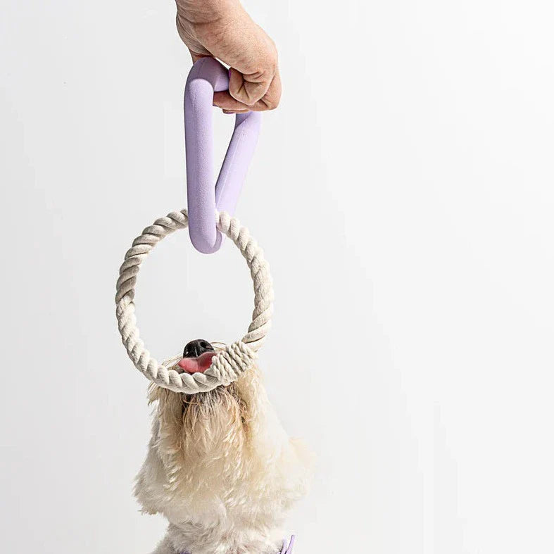 Triangle Tug Toy - Standard