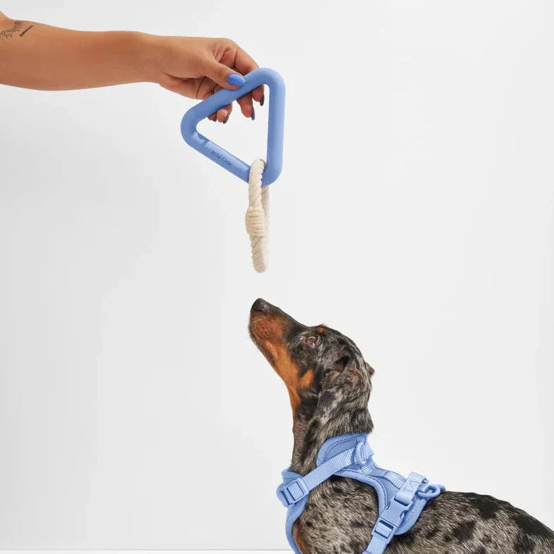Triangle Tug Toy - Standard