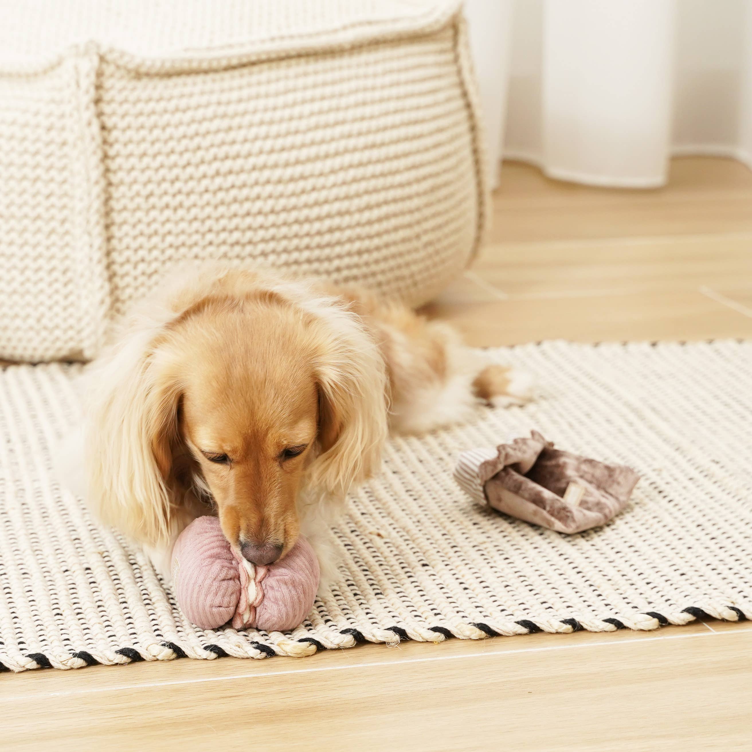 Petite Two Enrichment Dog Toy