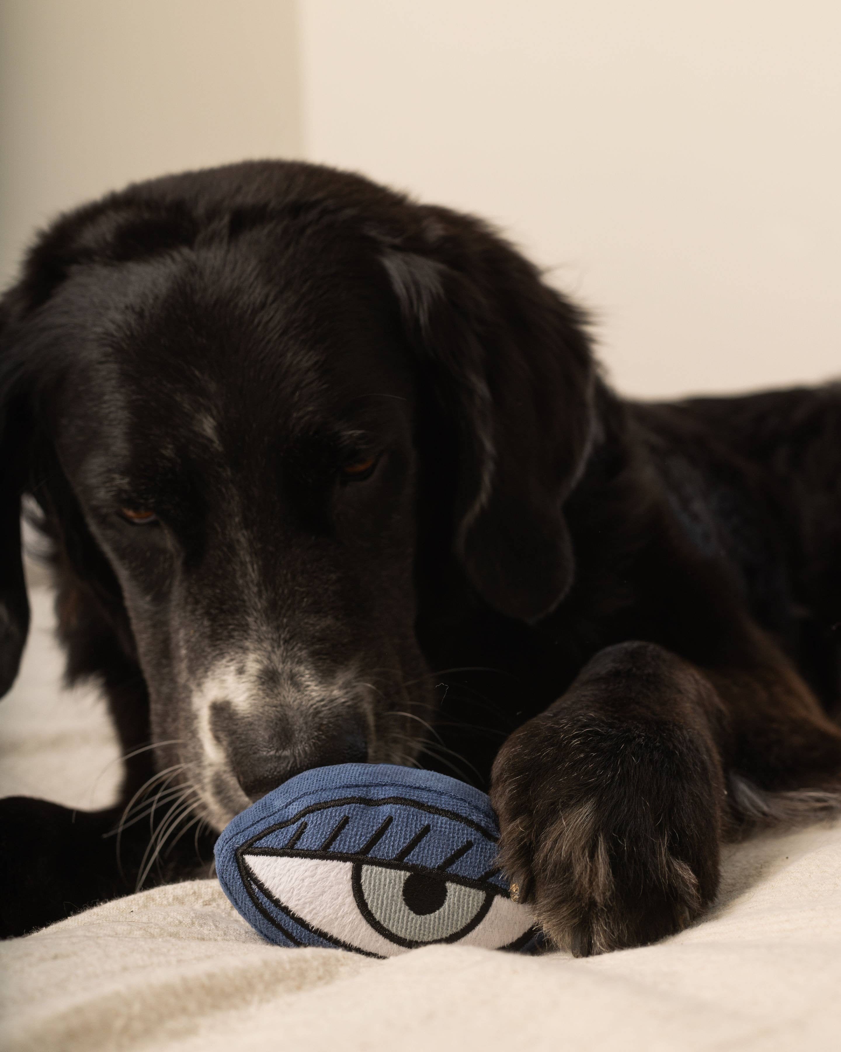 Picasso Snuffle Enrichment Dog Toy Set