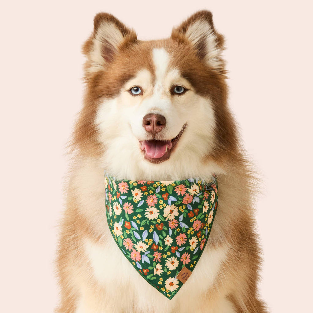 Secret Garden Dog Bandana