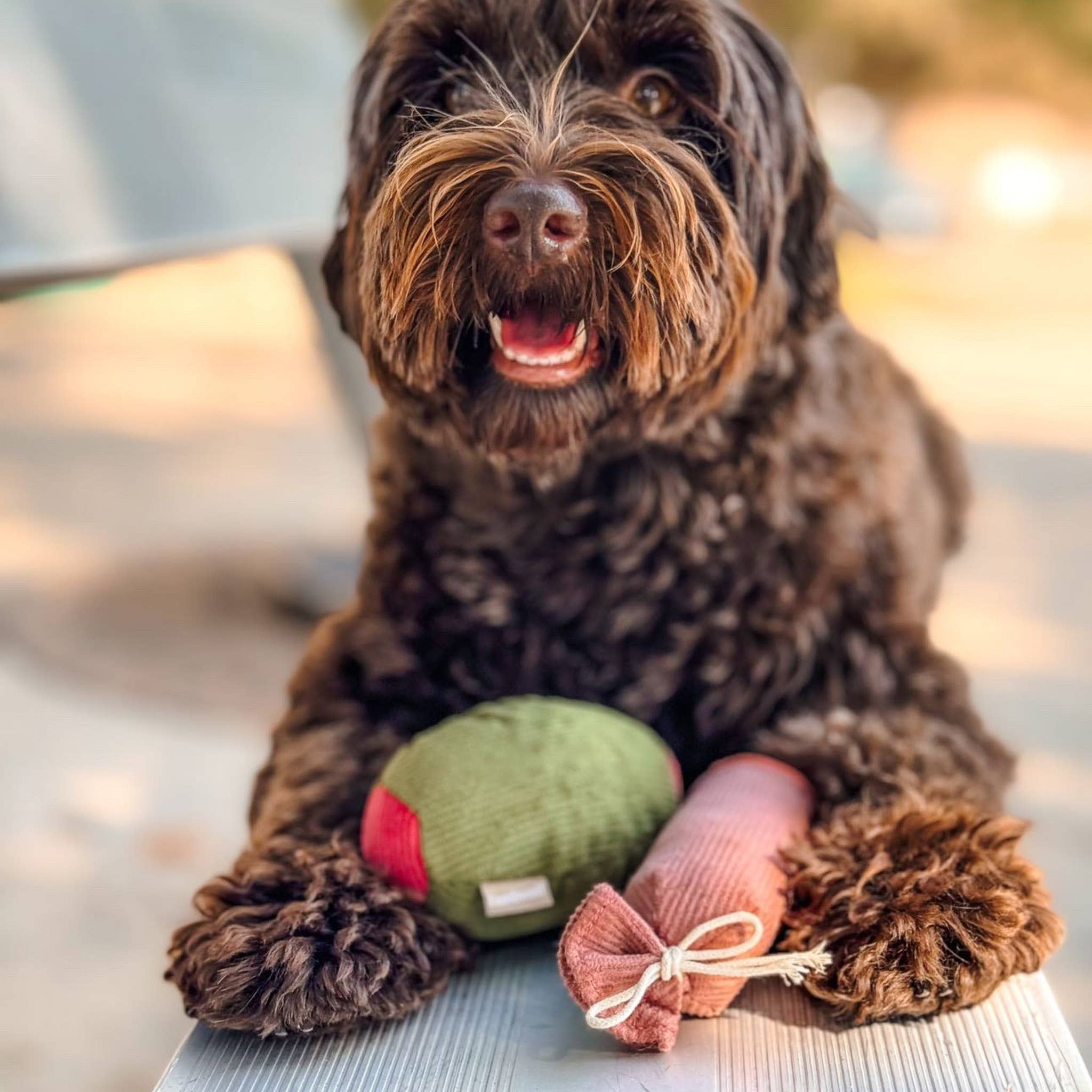Salami + Olive Enrichment Dog Toy