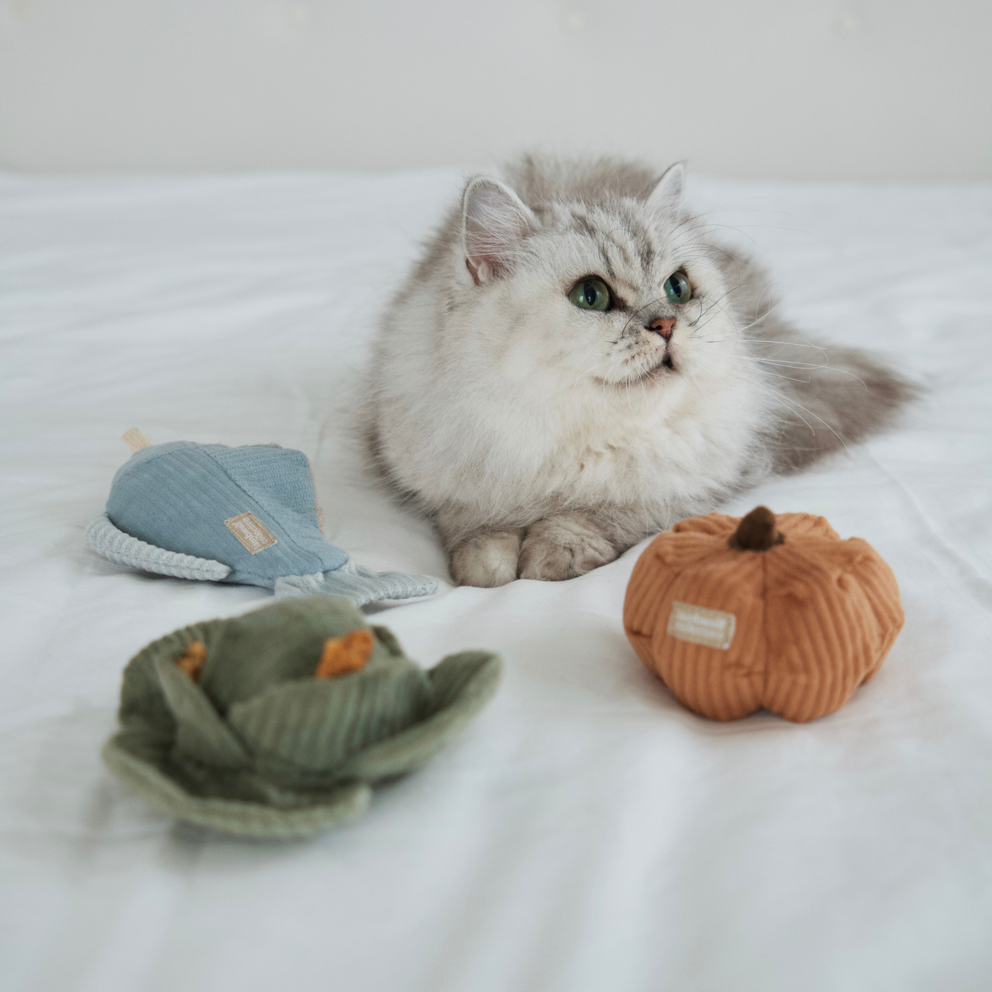 Kitty Veggie Toy Set