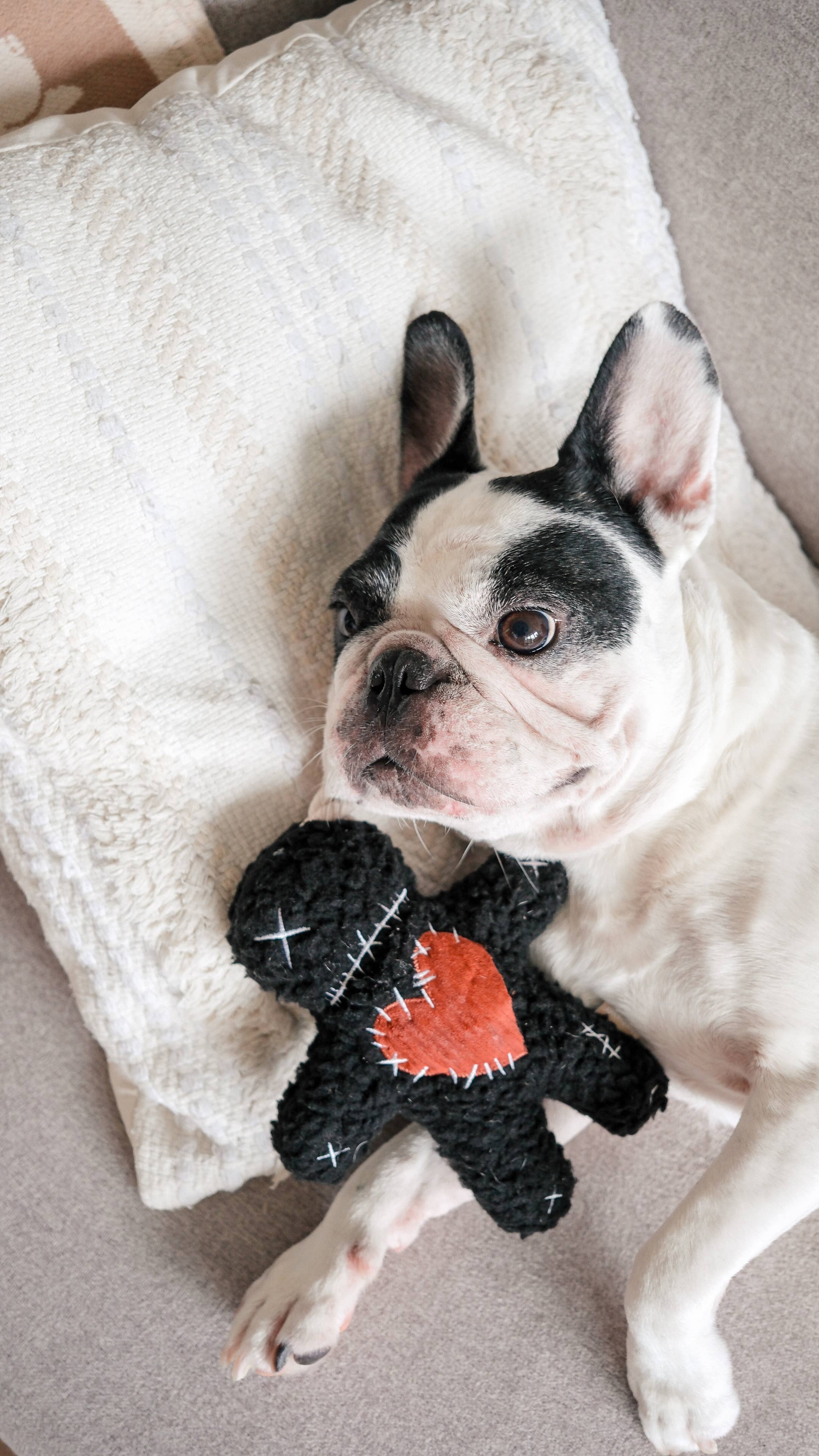 Voodoo Halloween Toy