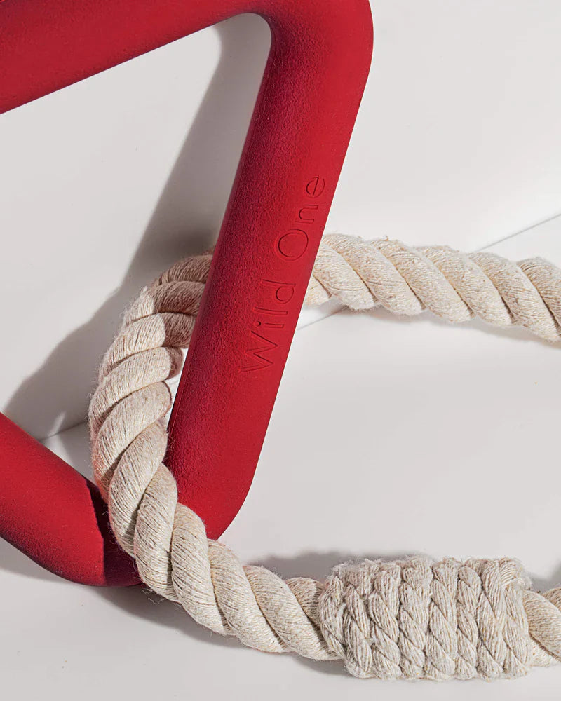 Triangle Tug Toy - Standard