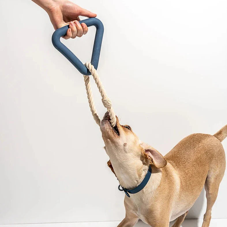 Triangle Tug Toy - Standard