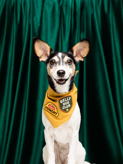 Belly Rub Club Iron-On Patch