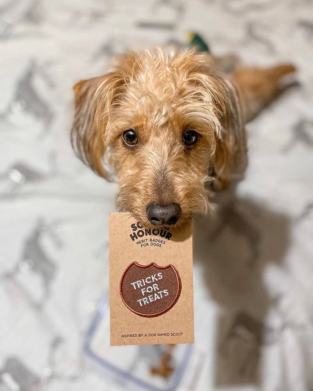 Tricks for Treats Iron-on Patch