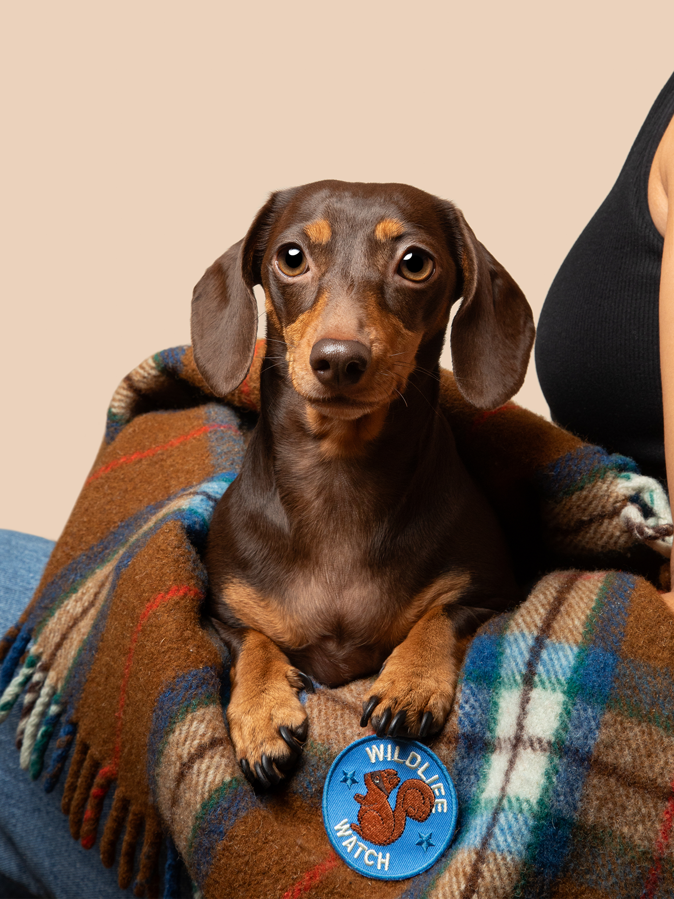 Wildlife Watch Iron-On Patch