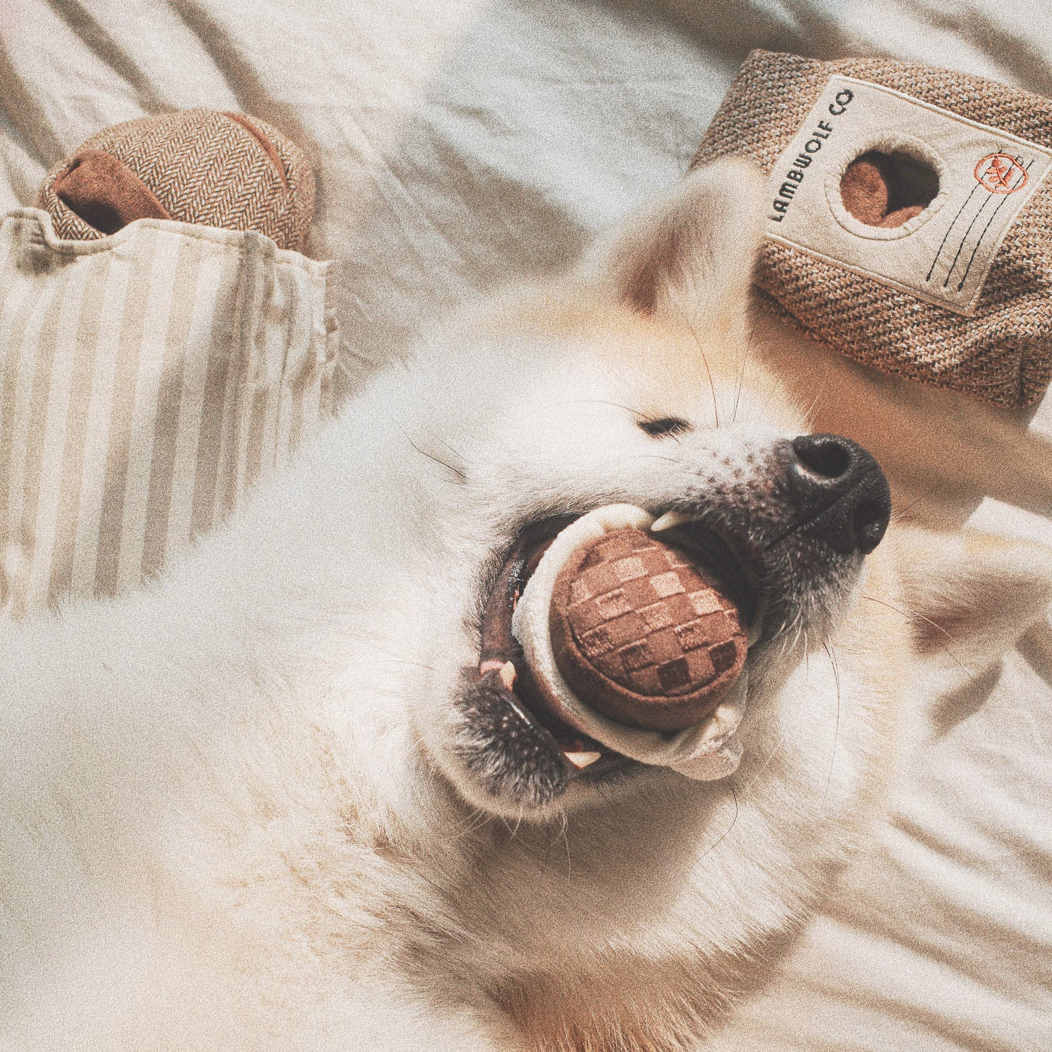 Expresso Pop Enrichment Dog Toy