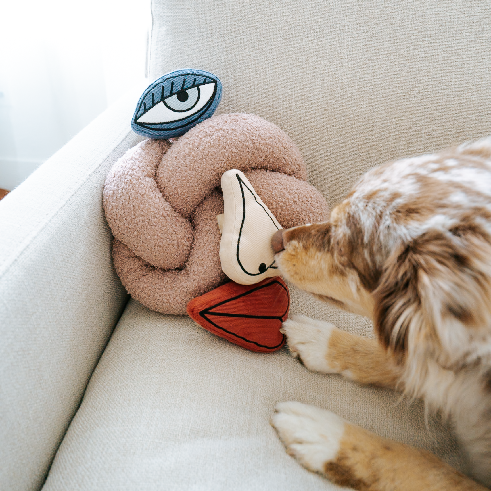 Picasso Snuffle Enrichment Dog Toy Set