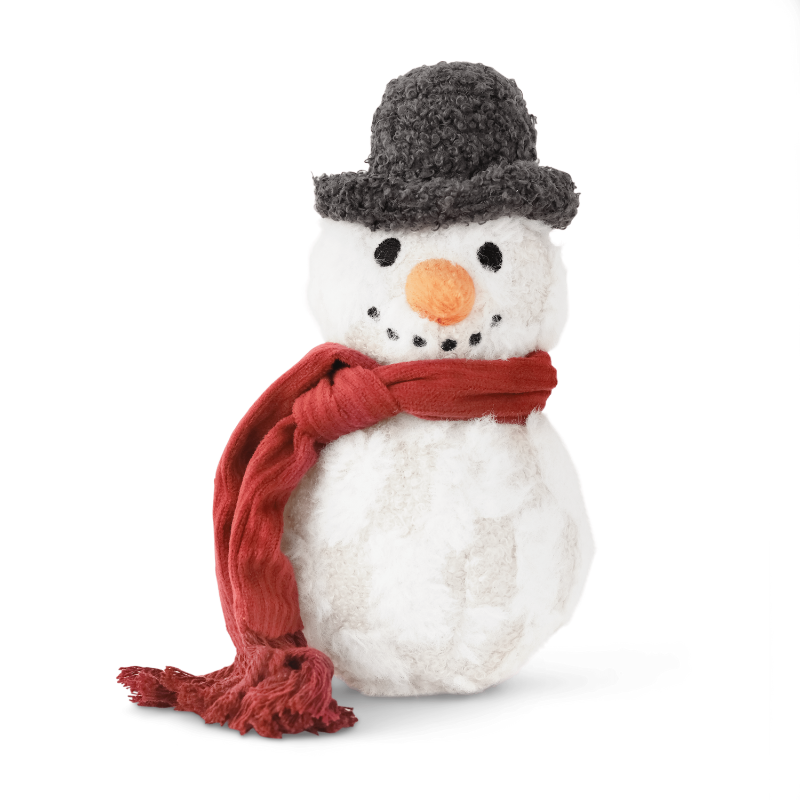 Snowman Enrichment Dog Toy