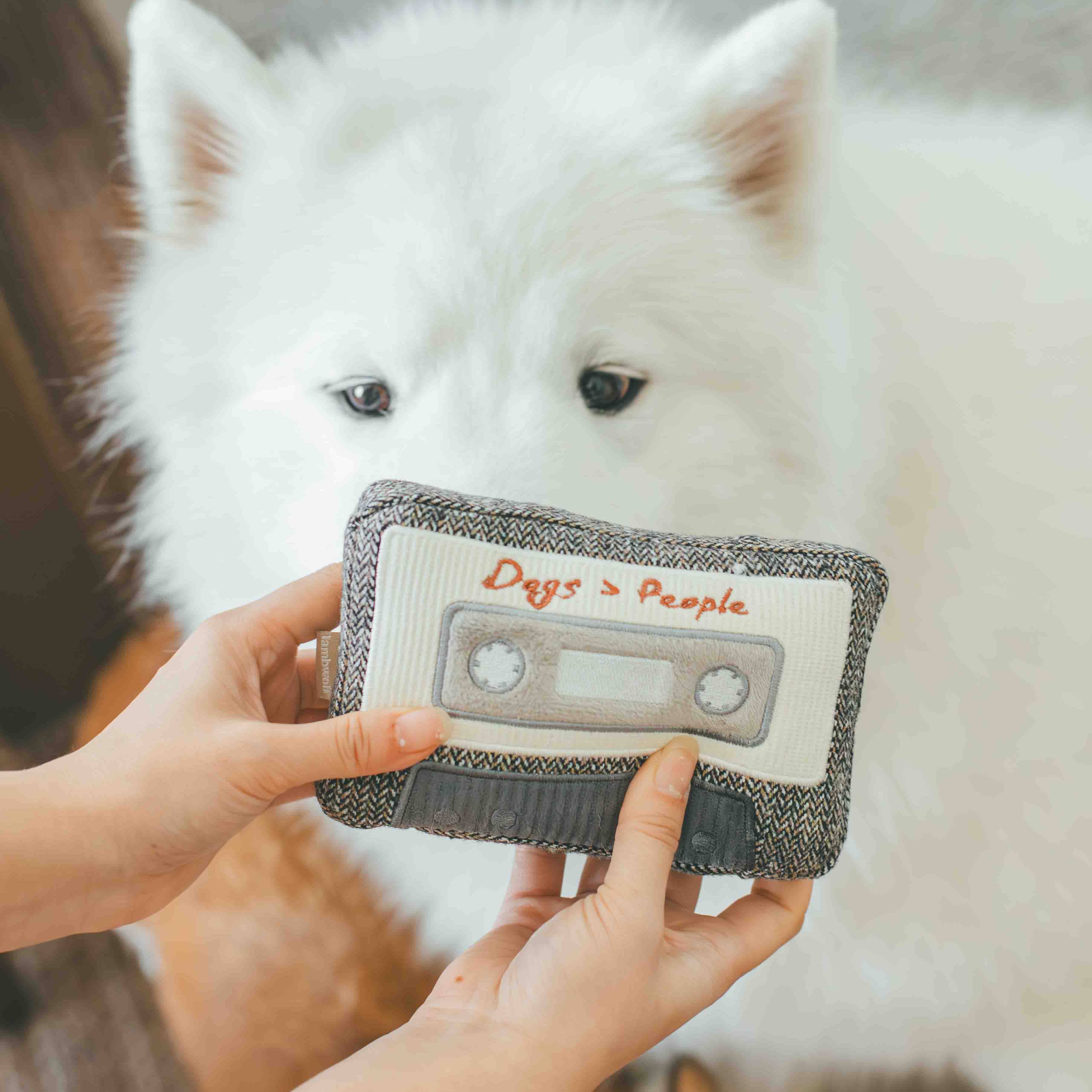 Cassette Enrichment Dog Toy
