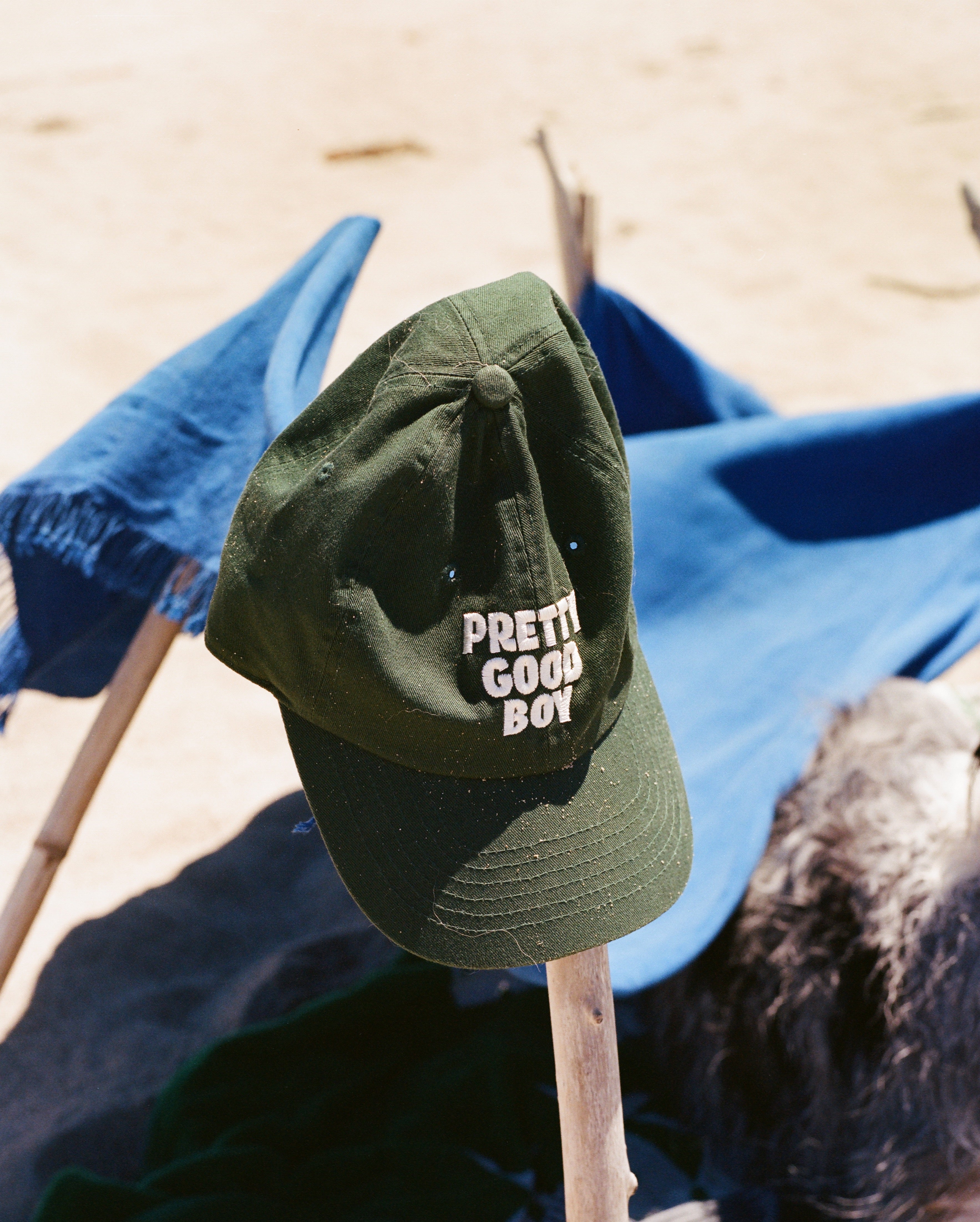 Pretty Good Boy Dad Hat