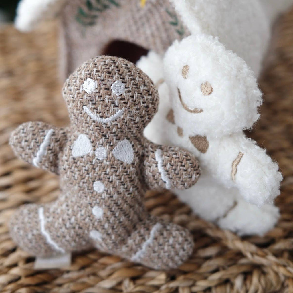 Gingerbread House Enrichment Dog Toy