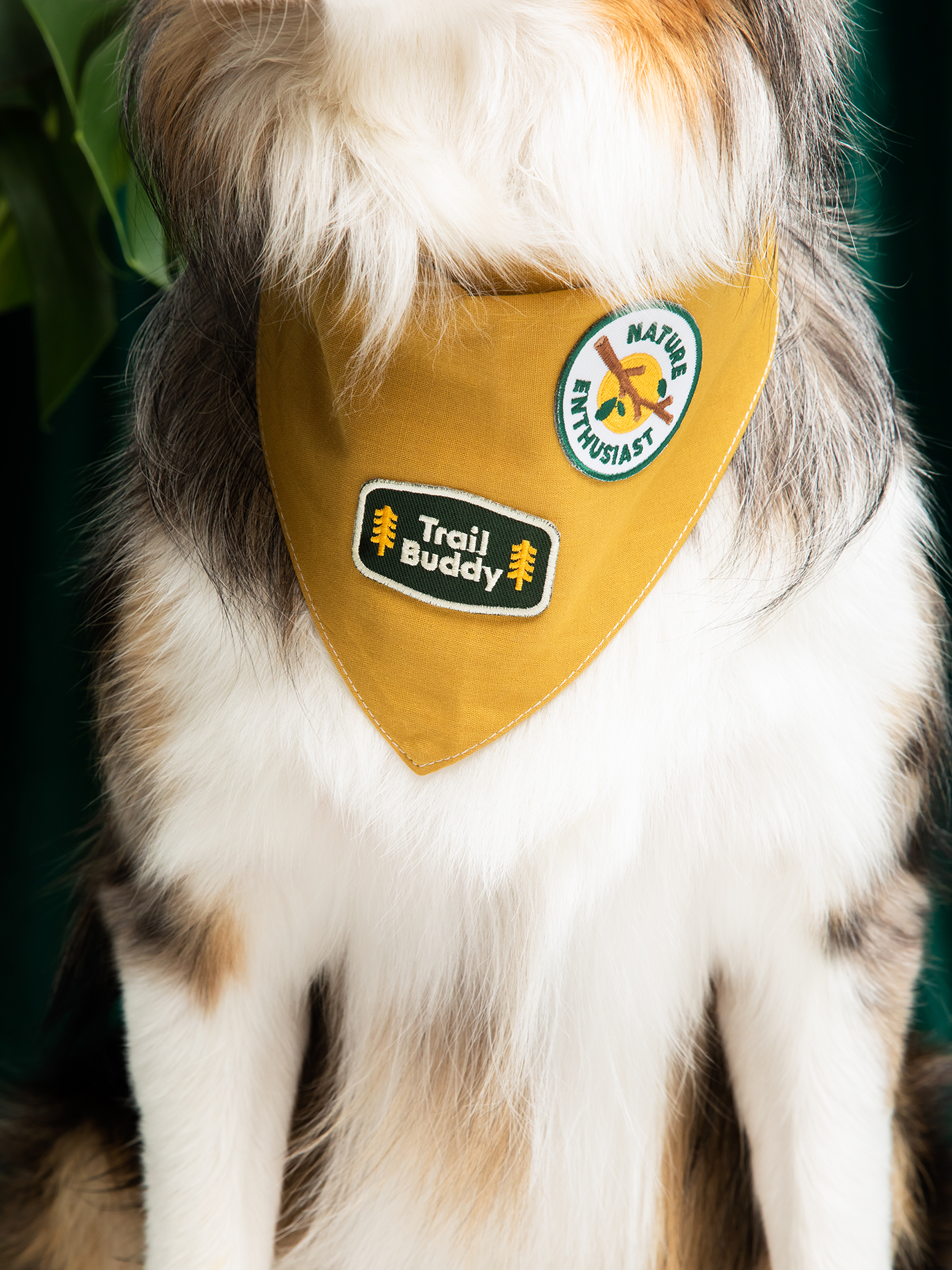 Trail Buddy Iron-on Patch