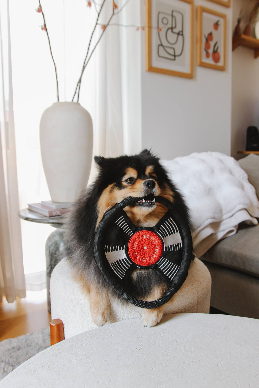 Bark to Beat Enrichment Dog Toy