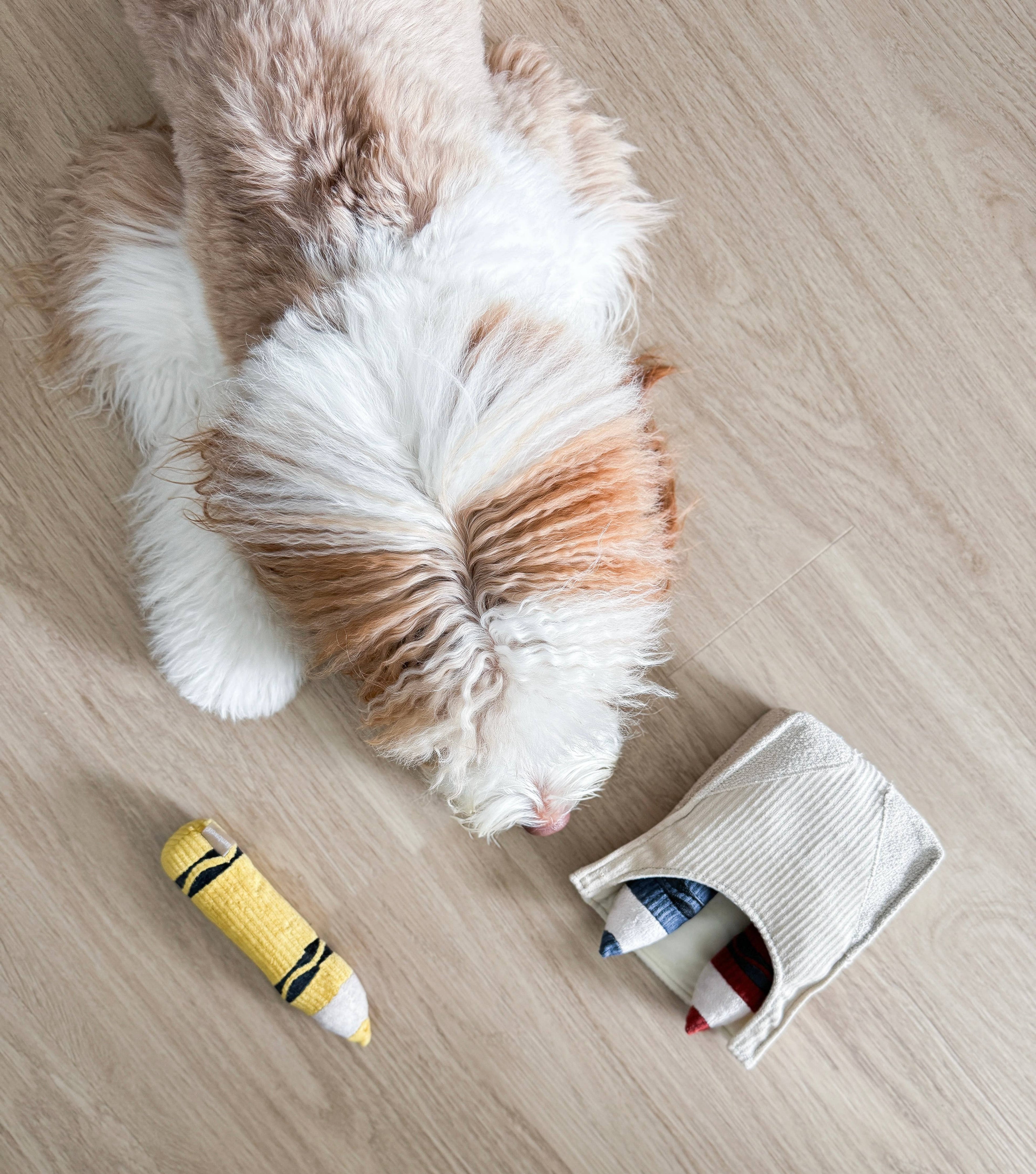 Crayons Enrichment Dog Toy