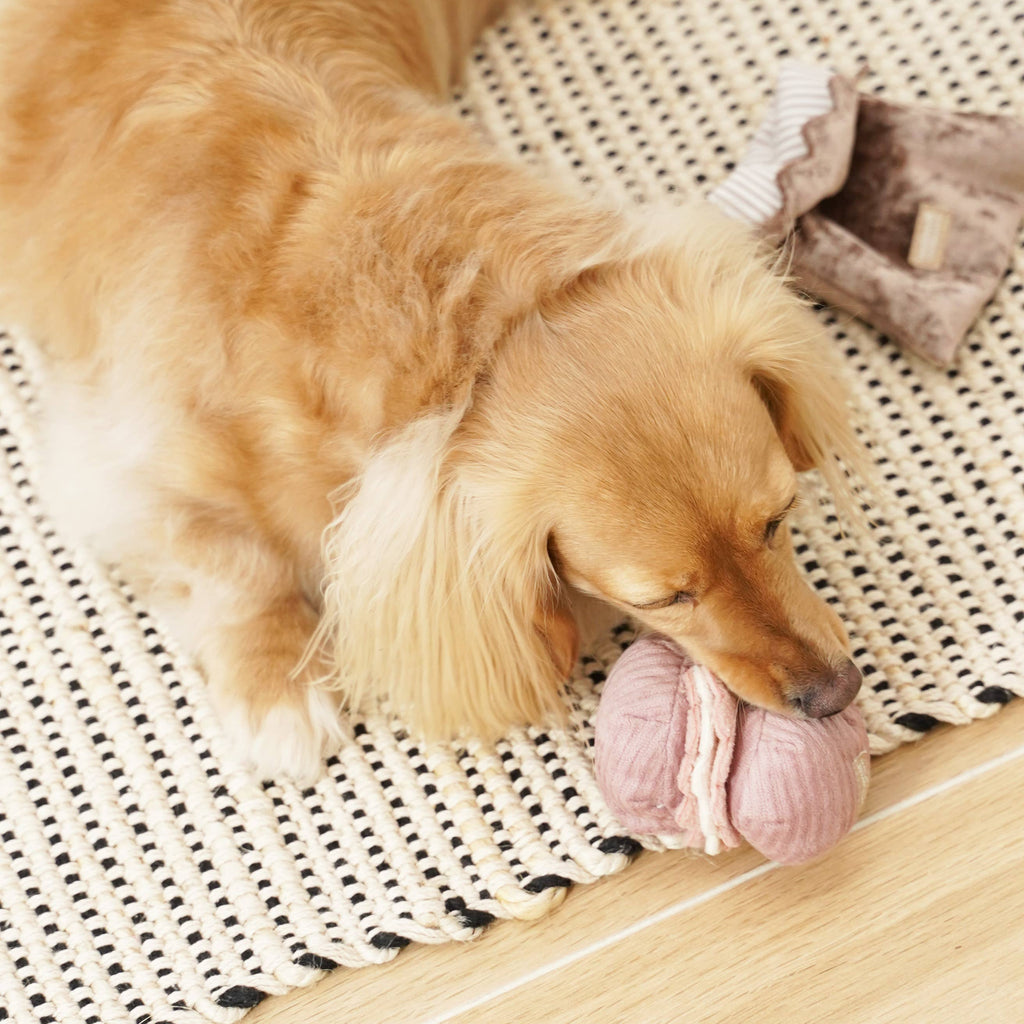 Petite Two Enrichment Dog Toy