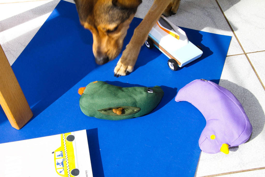 The Fritz Bird Dog Toy