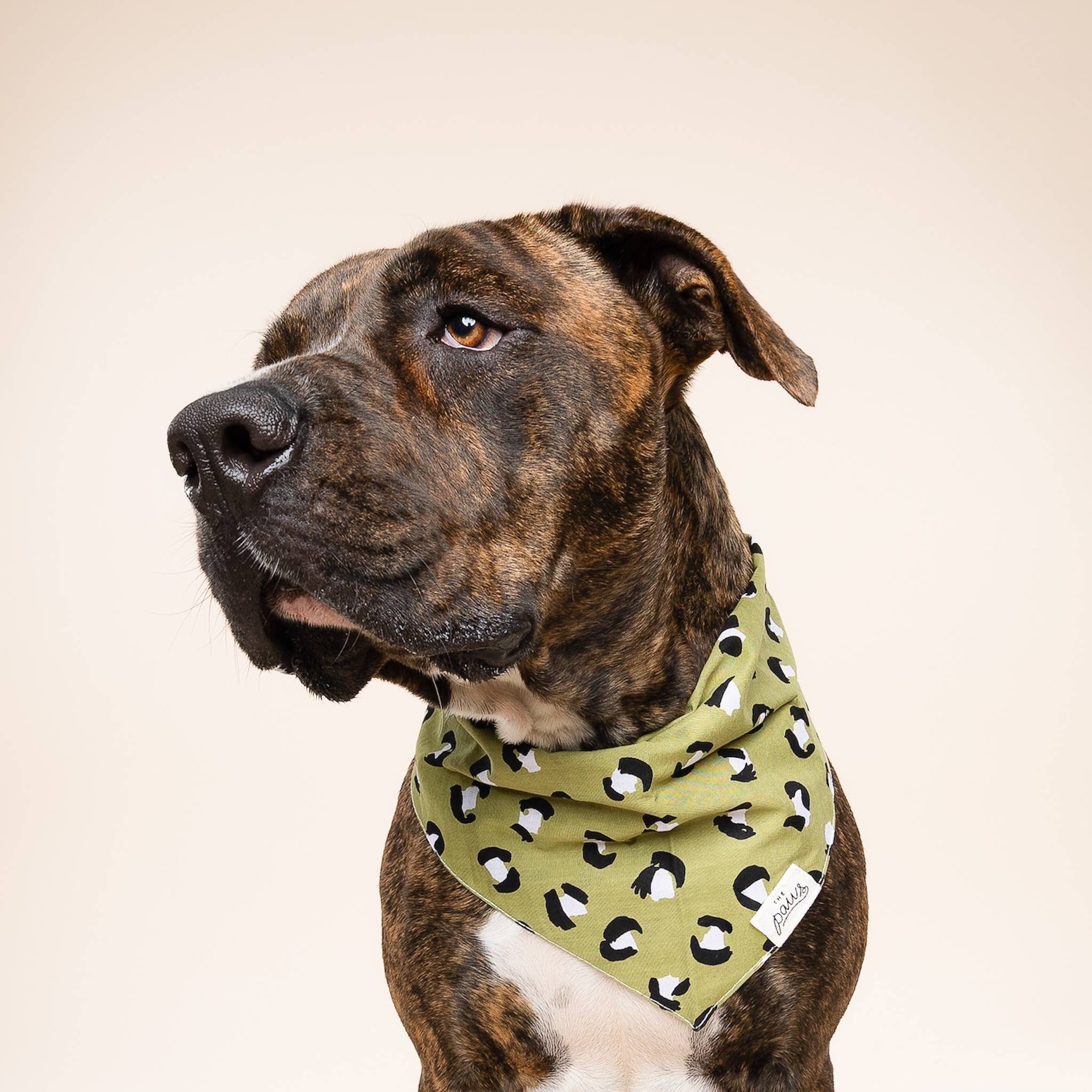 Olive Dog Bandana