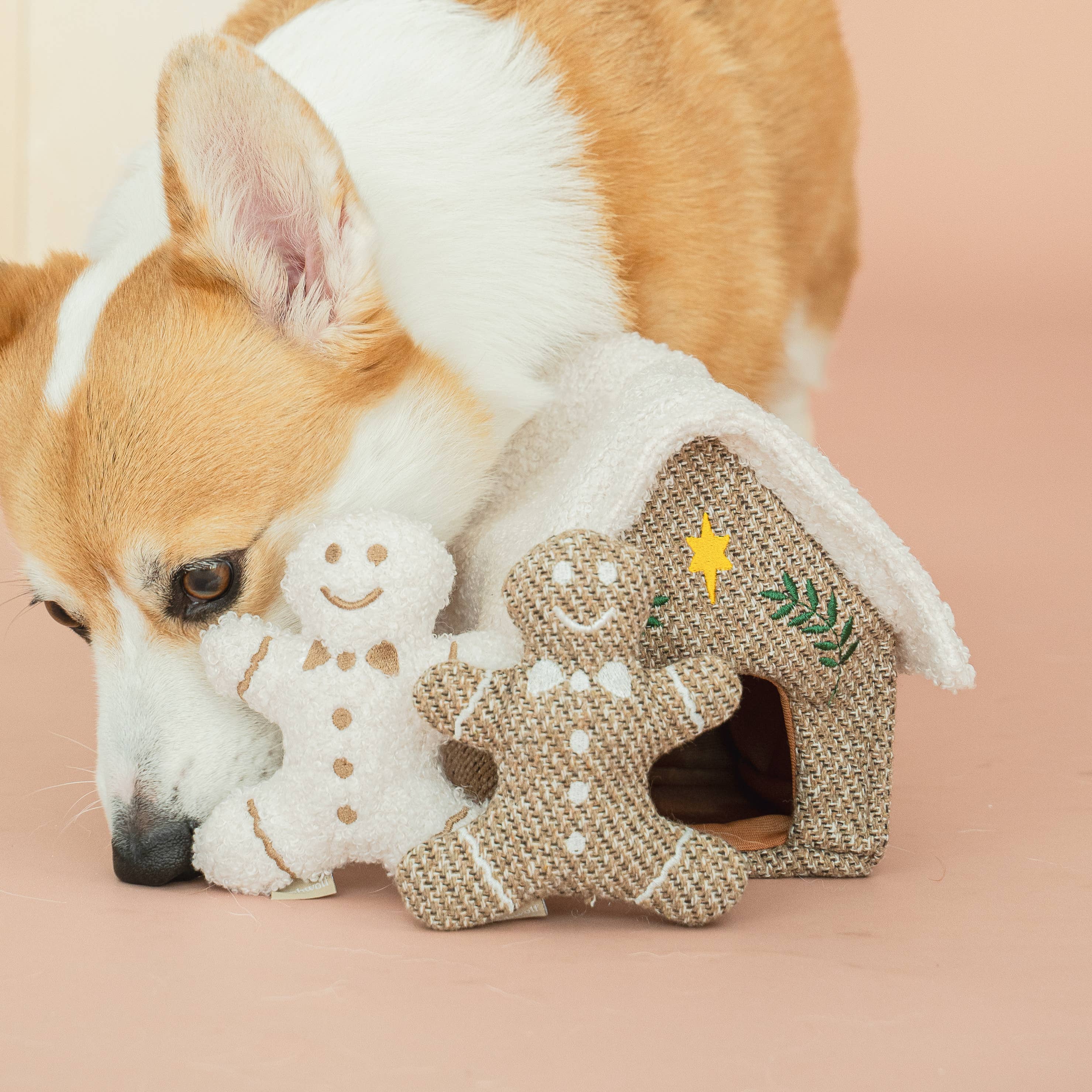 Gingerbread House Enrichment Dog Toy
