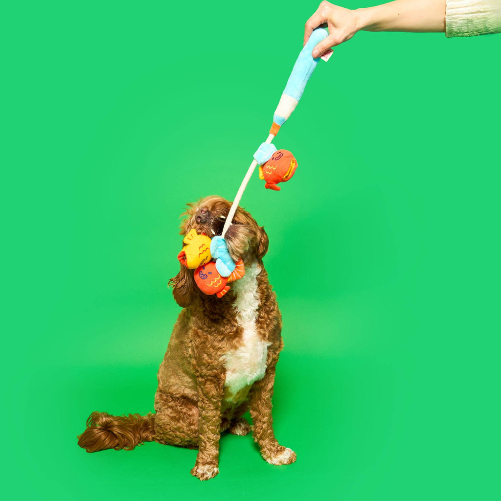 Fishing Nosework & Tug Toy