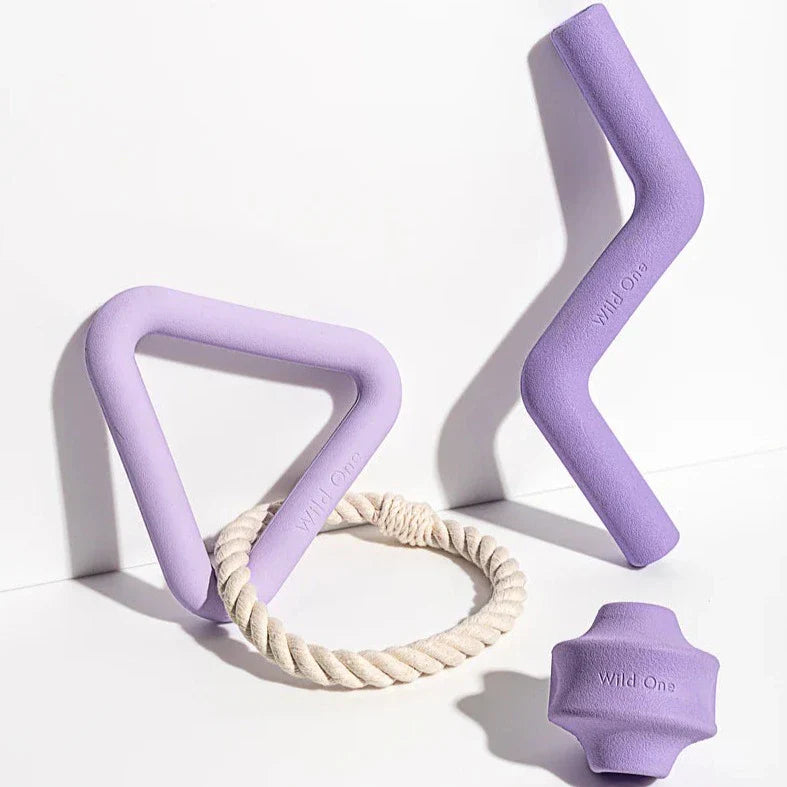 Triangle Tug Toy - Standard