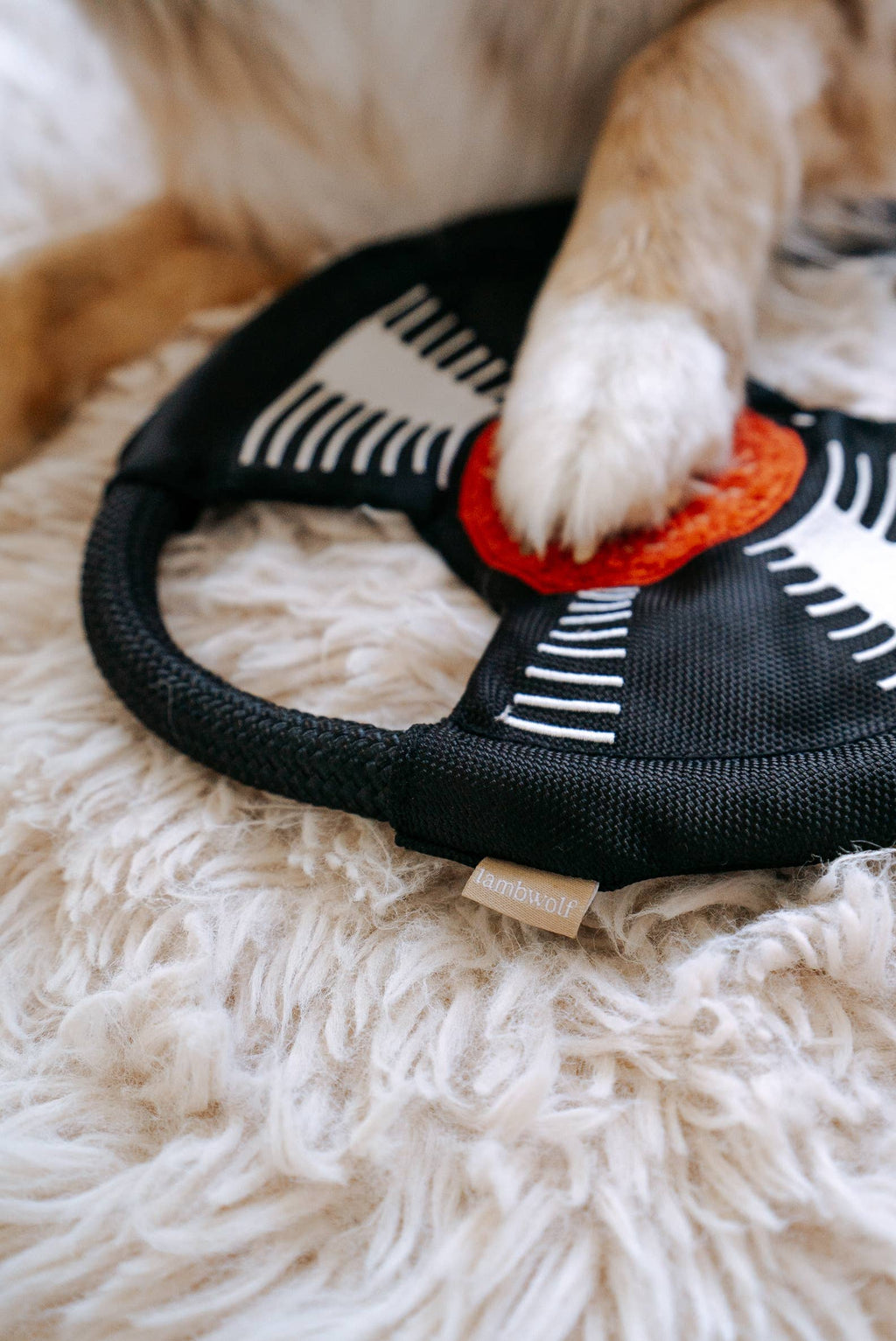 Bark to Beat Enrichment Dog Toy