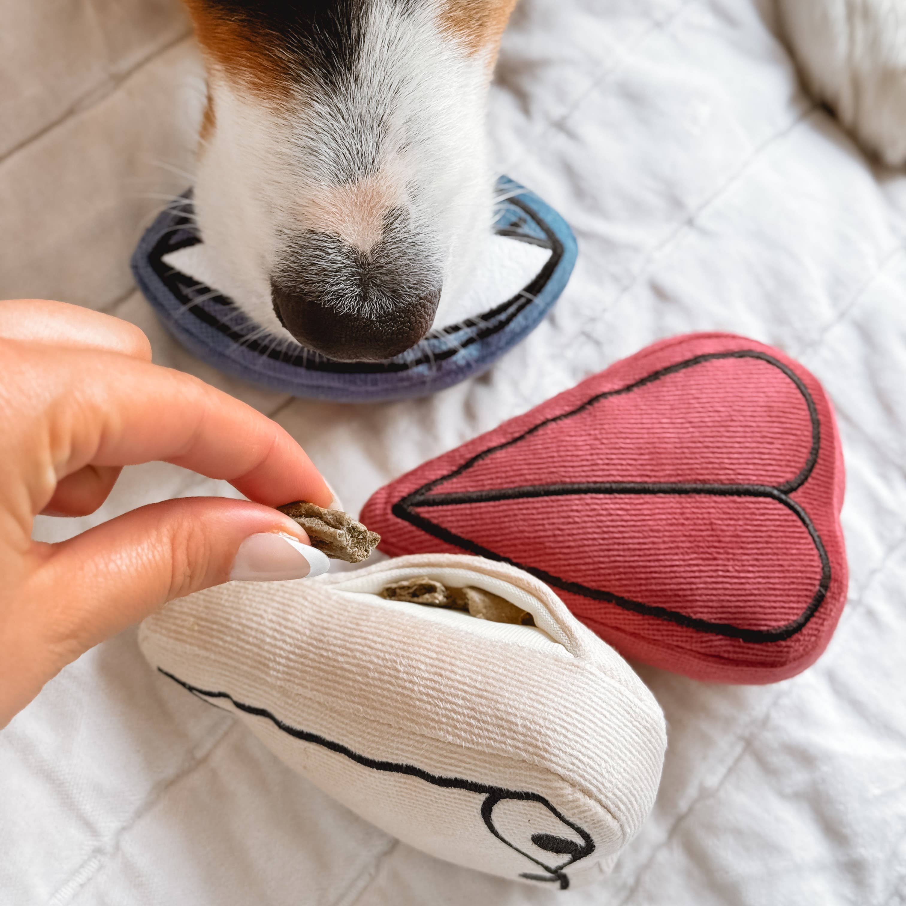 Picasso Snuffle Enrichment Dog Toy Set