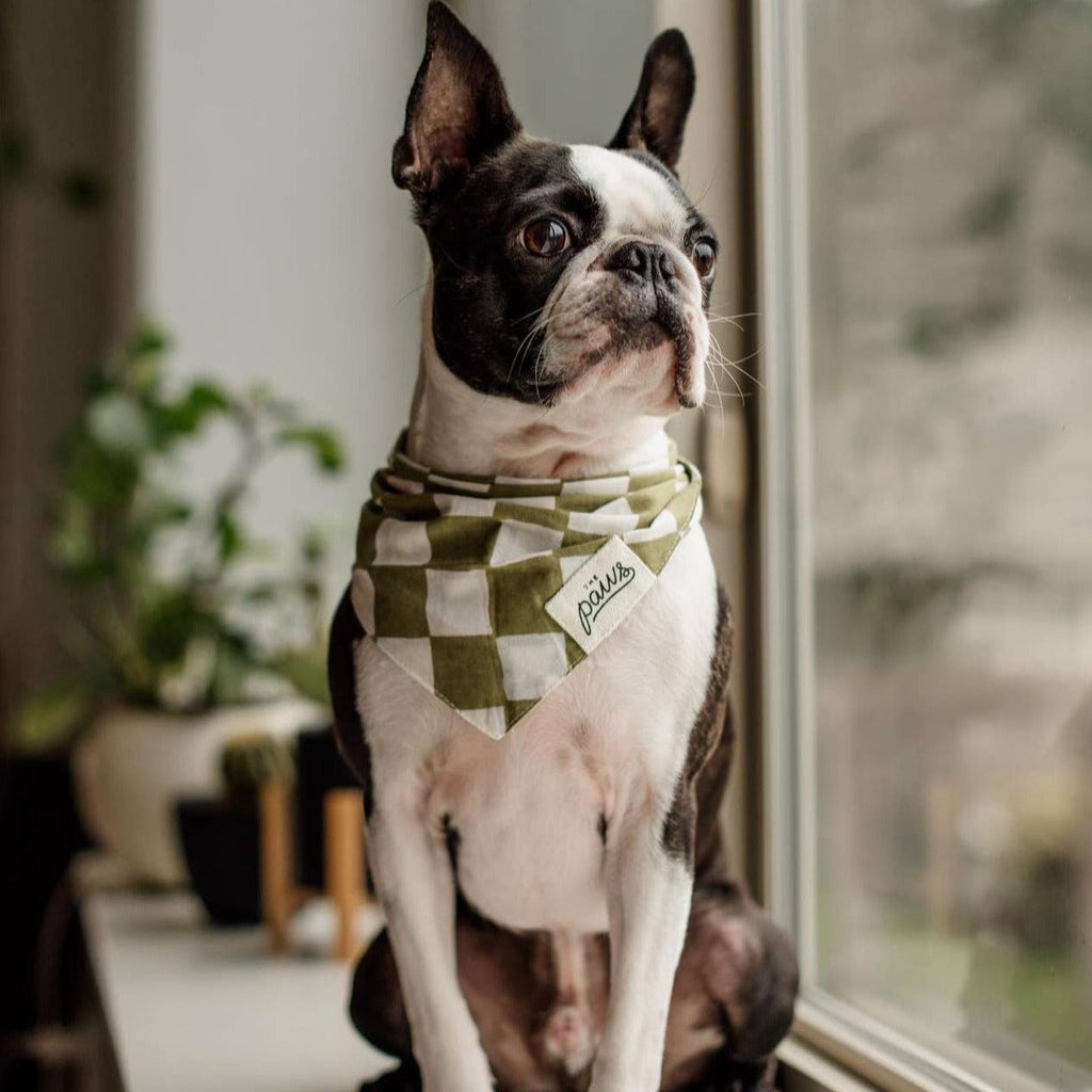 Checkmate Dog Bandana