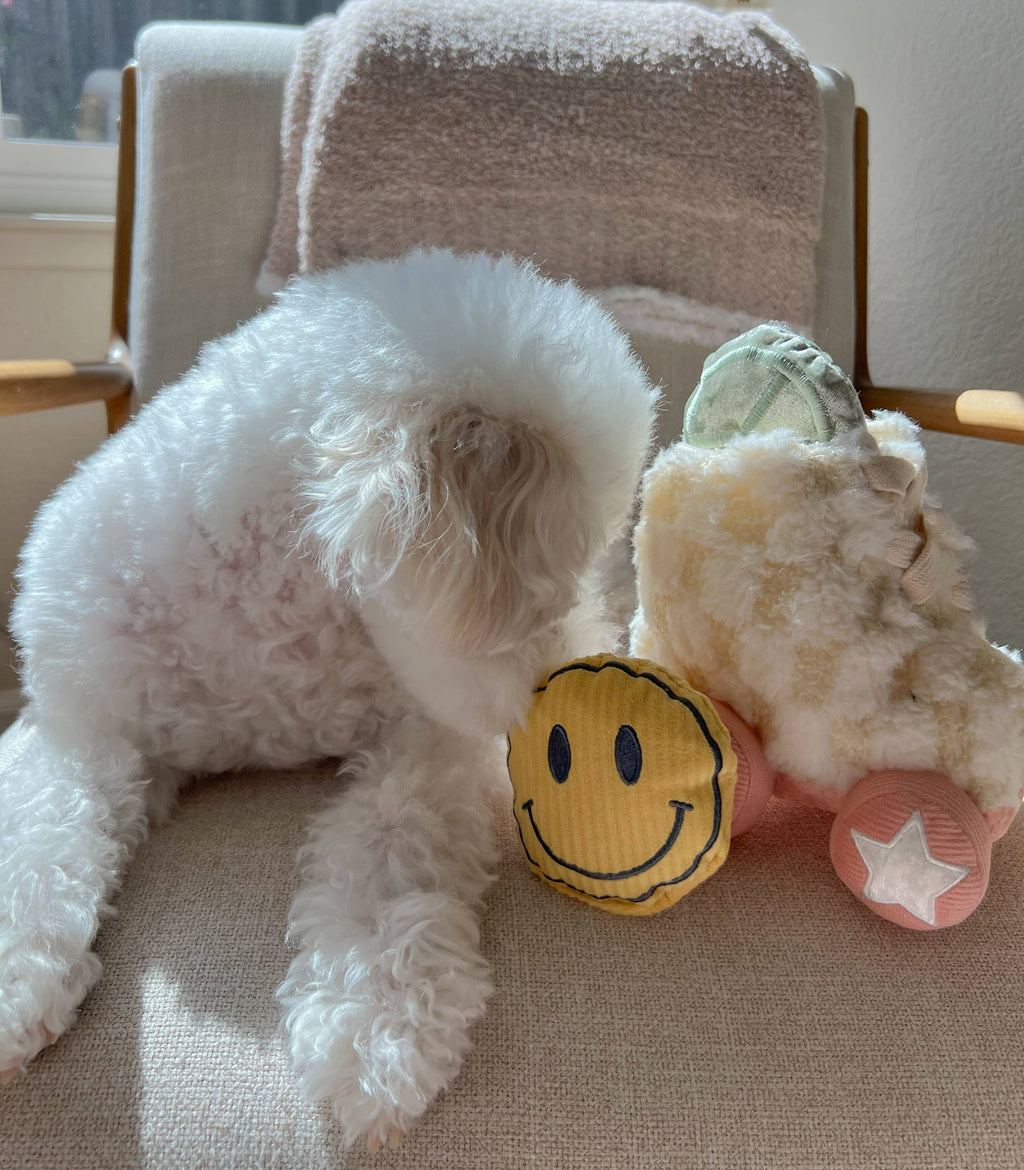 Roller Skate Enrichment Dog Toy