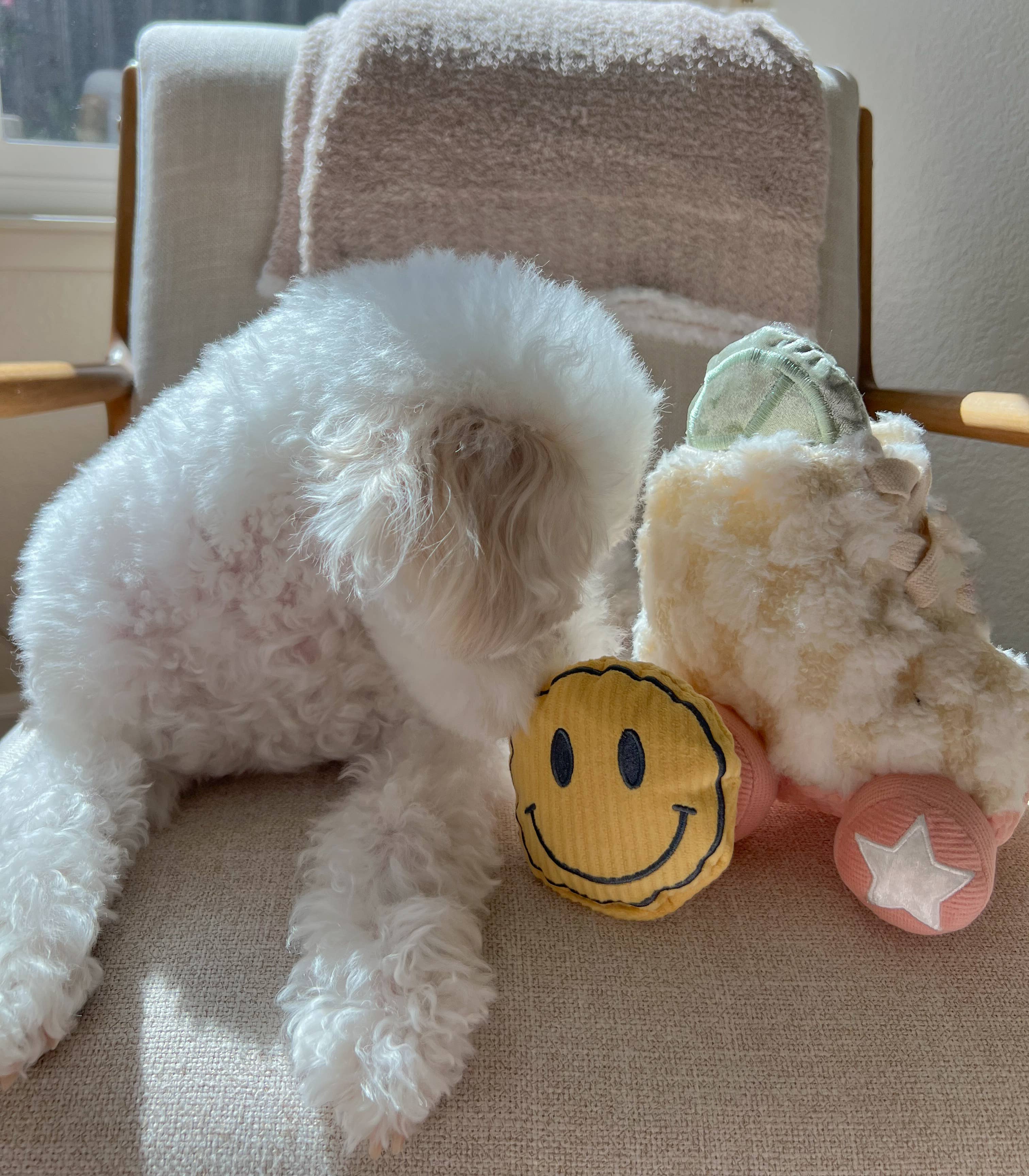 Roller Skate Enrichment Dog Toy