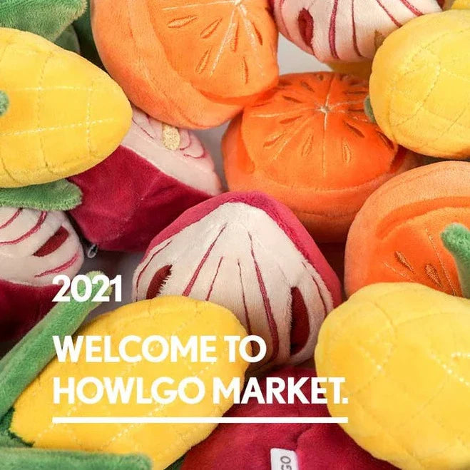 Half Onion Nosework Toy