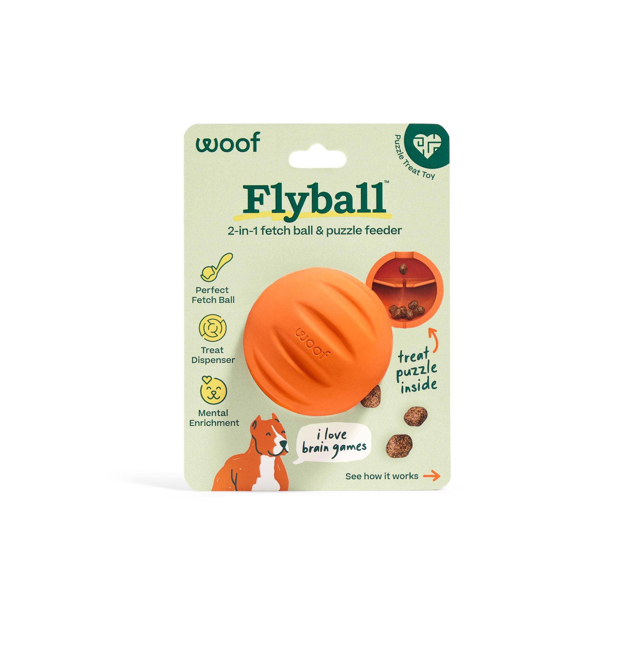 Flyball
