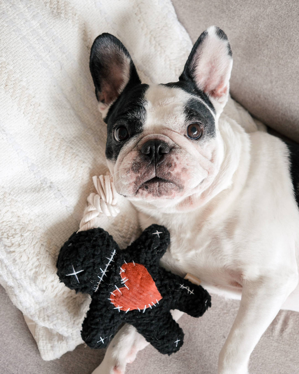 Voodoo Halloween Toy